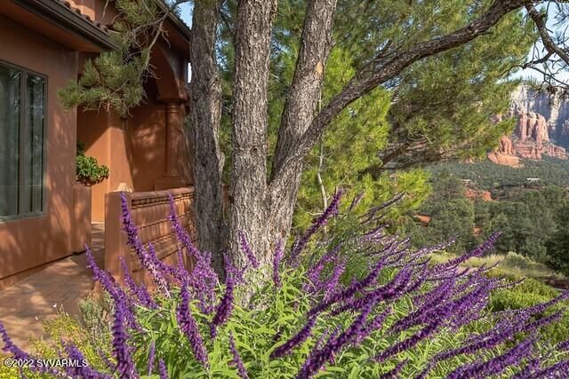 227 Les Springs Drive