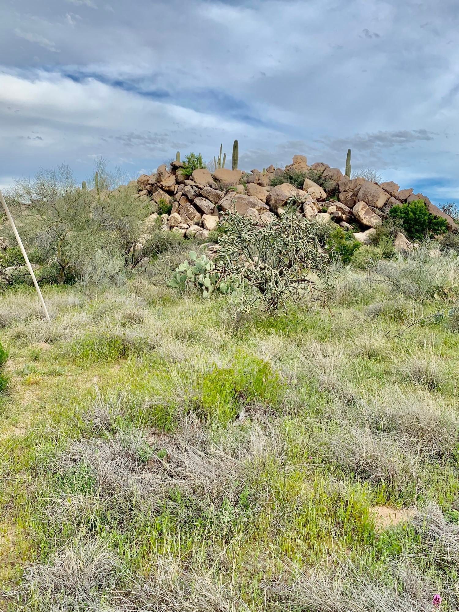 1484 W Tortolita Mountain Circle
