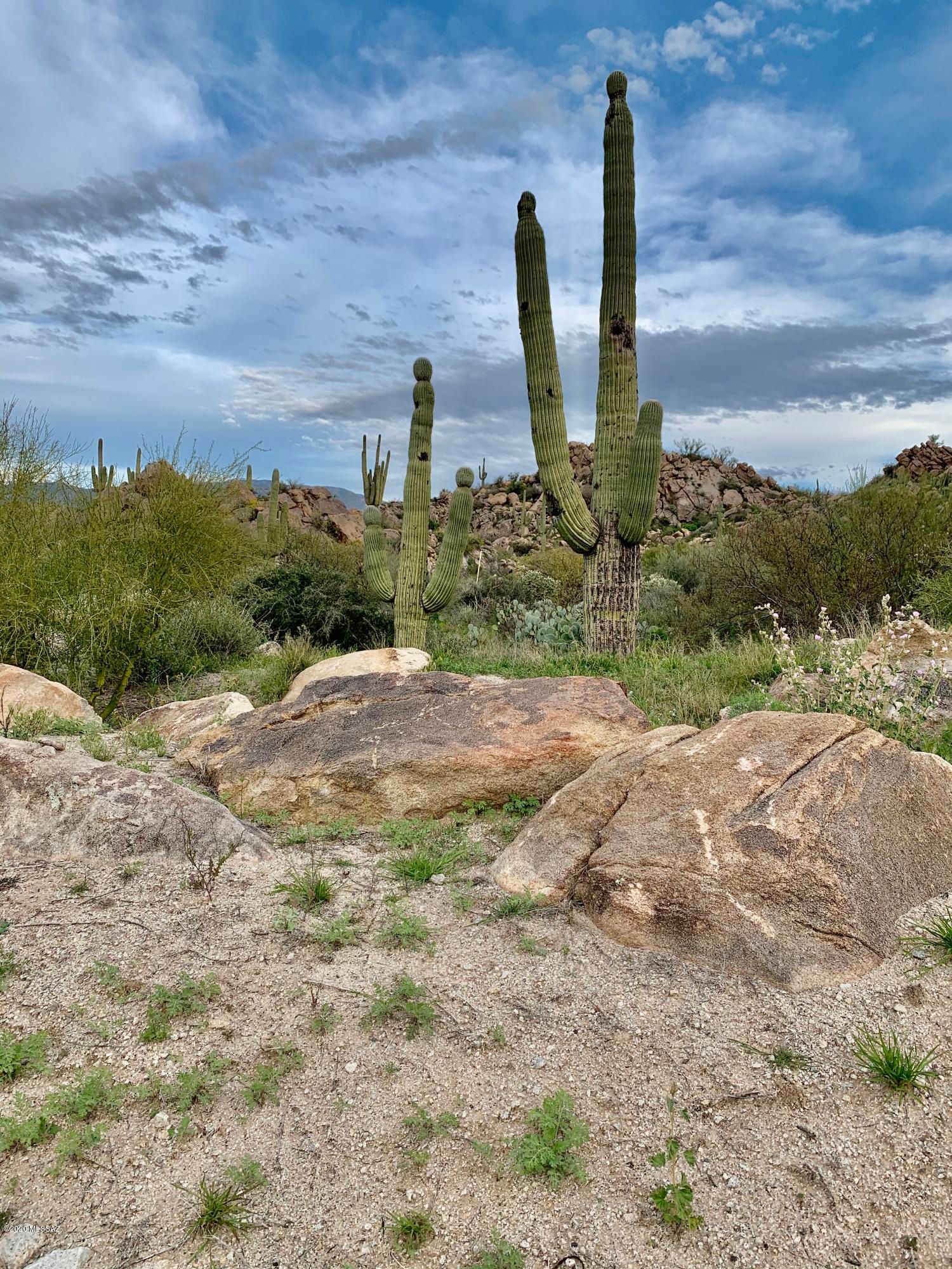 863 W Granite Gorge Drive
