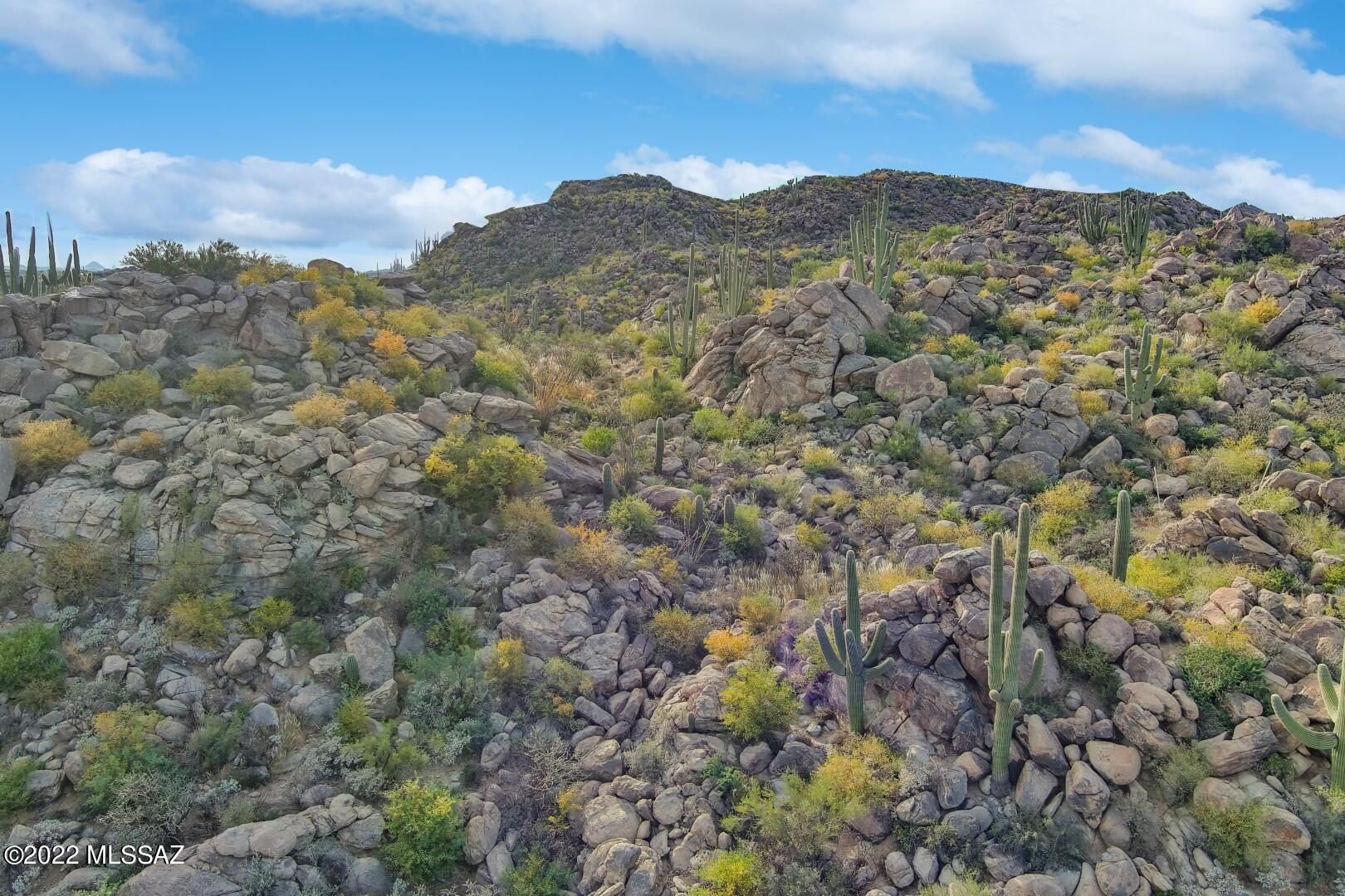 1768 W Tortolita Mountain Circle