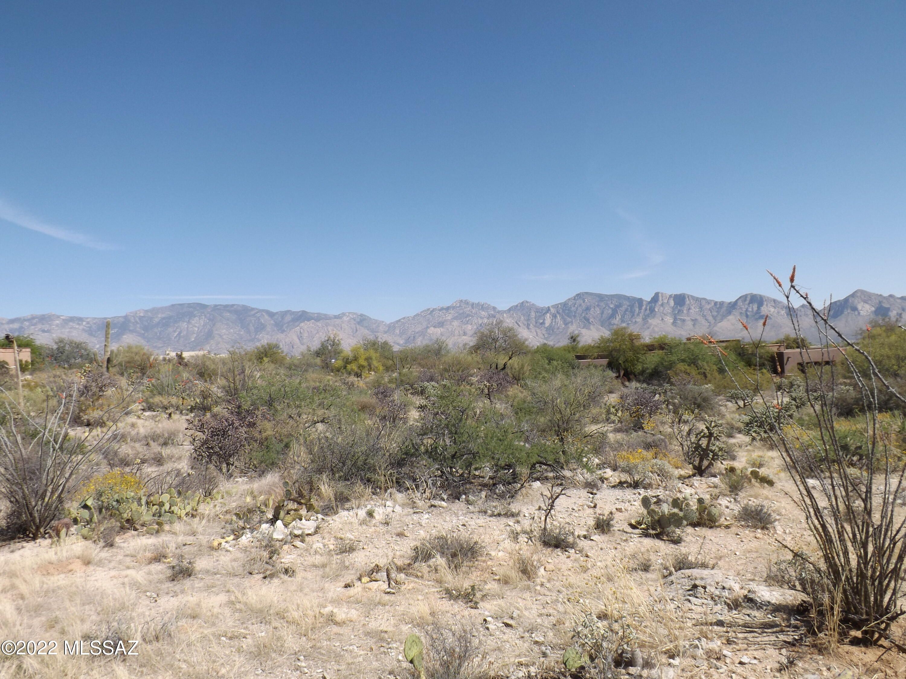 899 W Tortolita Mountain Circle