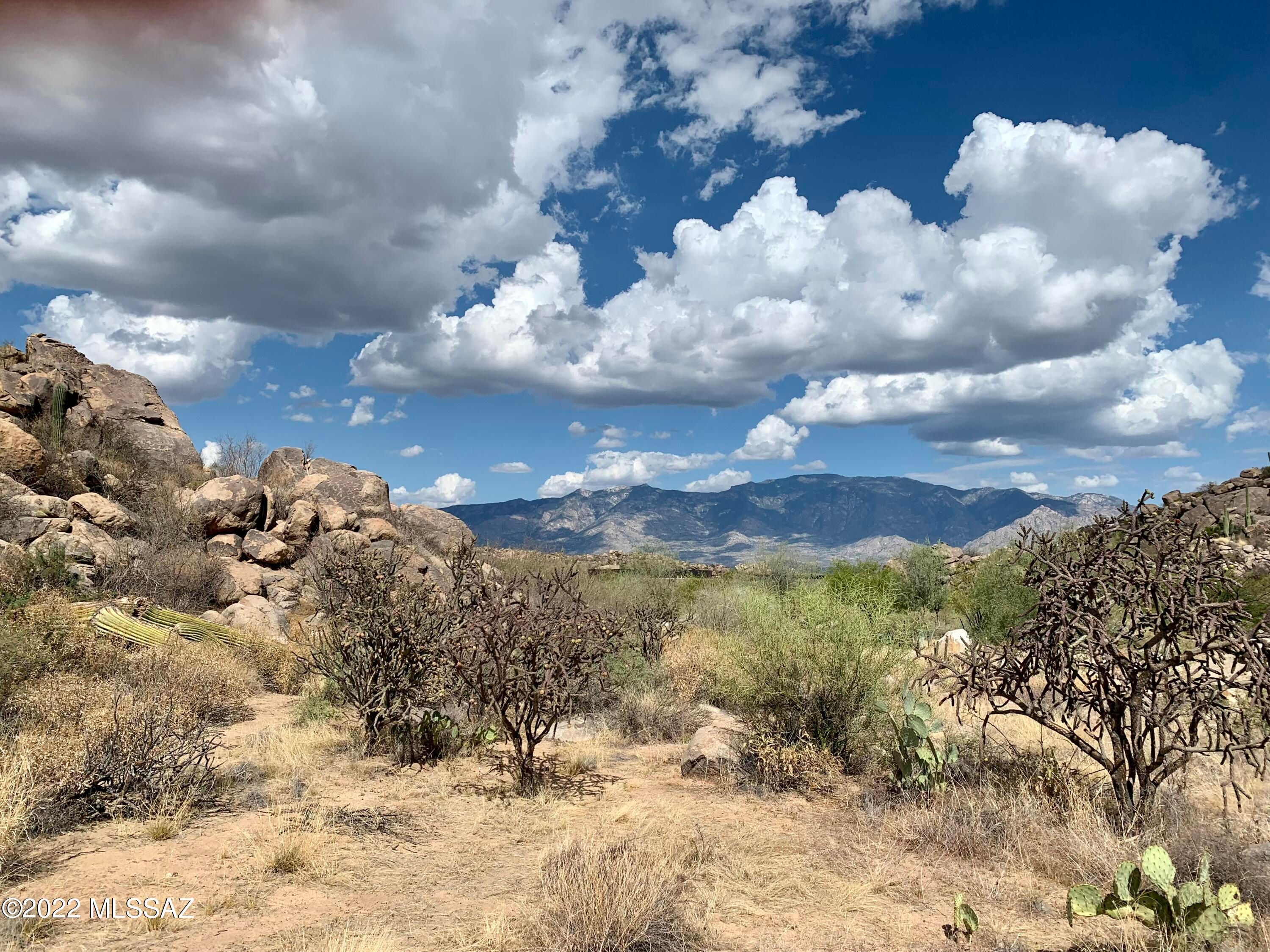 1481 Tortolita Mountain Circle