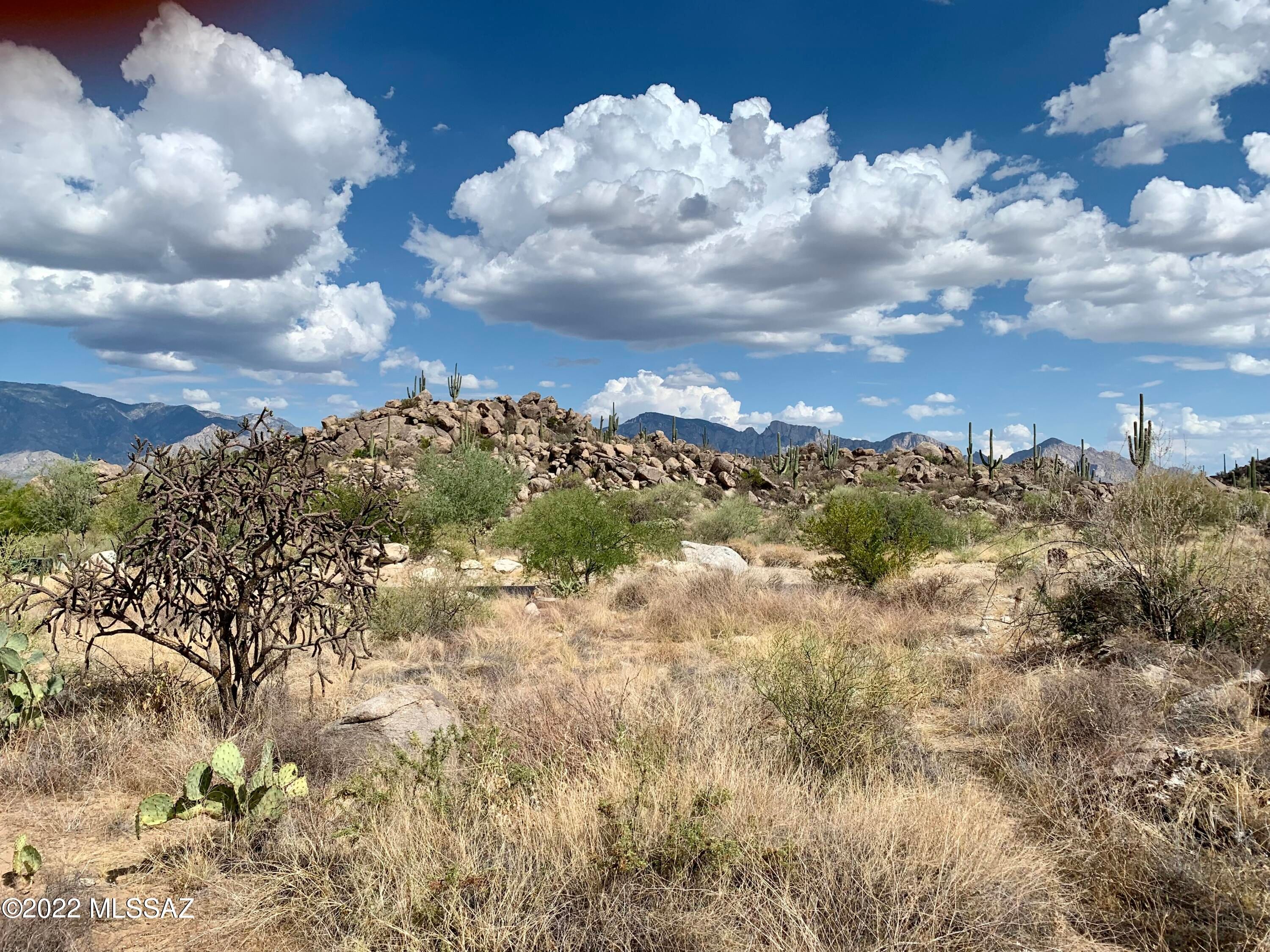 1481 Tortolita Mountain Circle