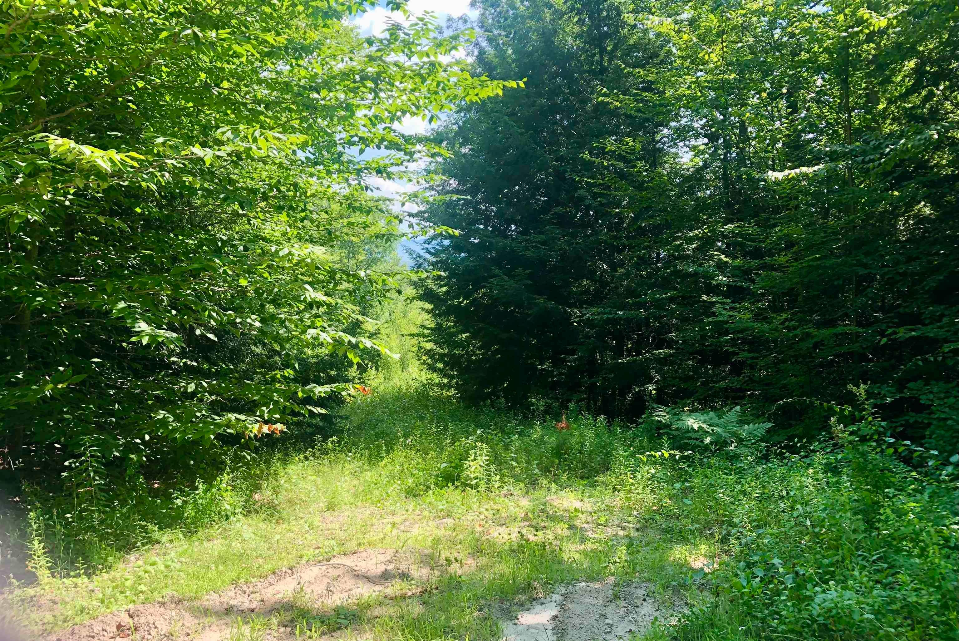 Lower Beech Hill Road