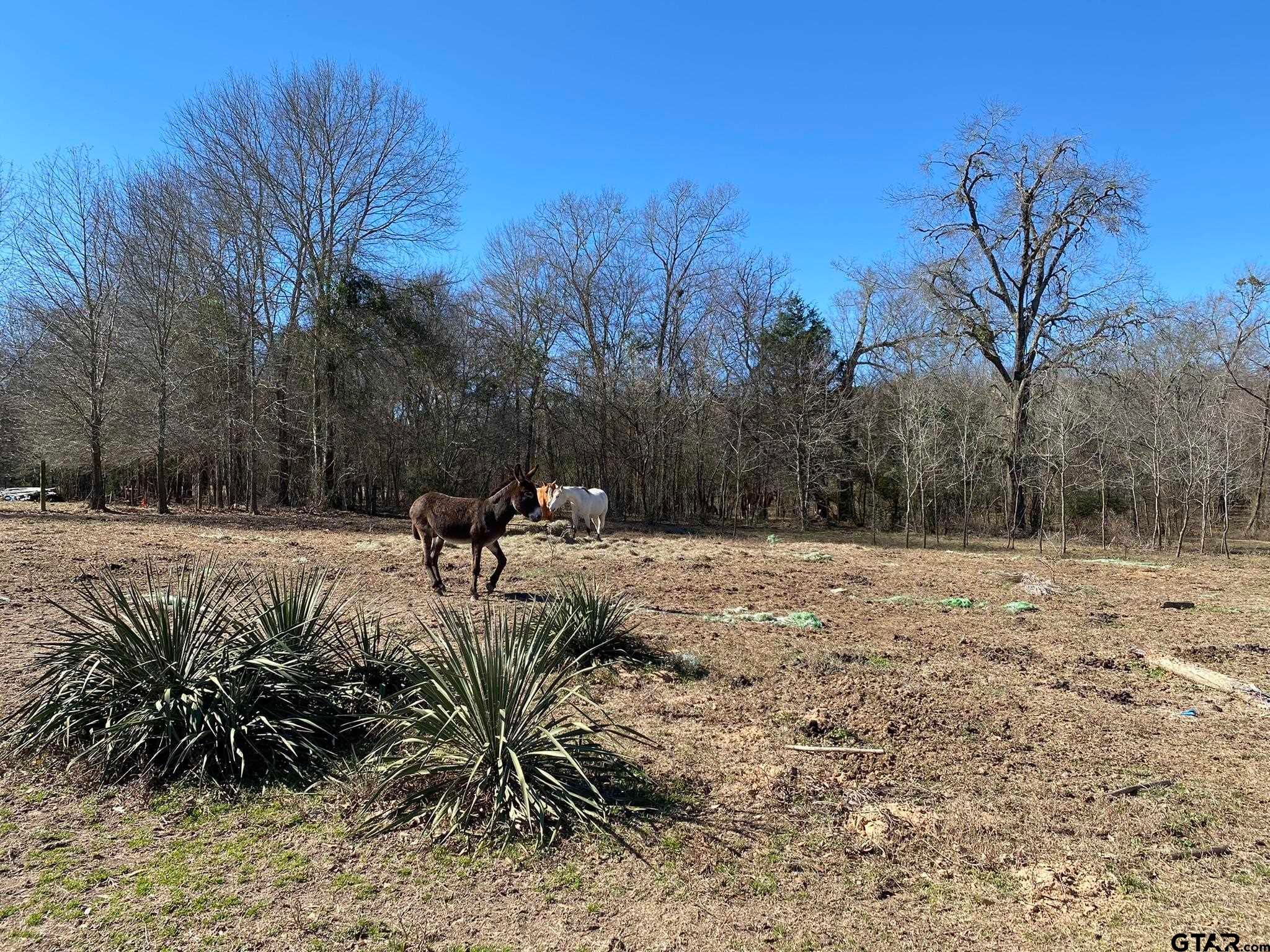 000 County Rd 313