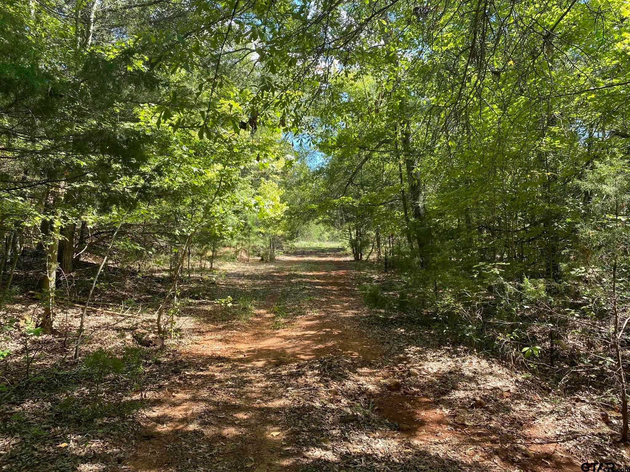 FM 2868