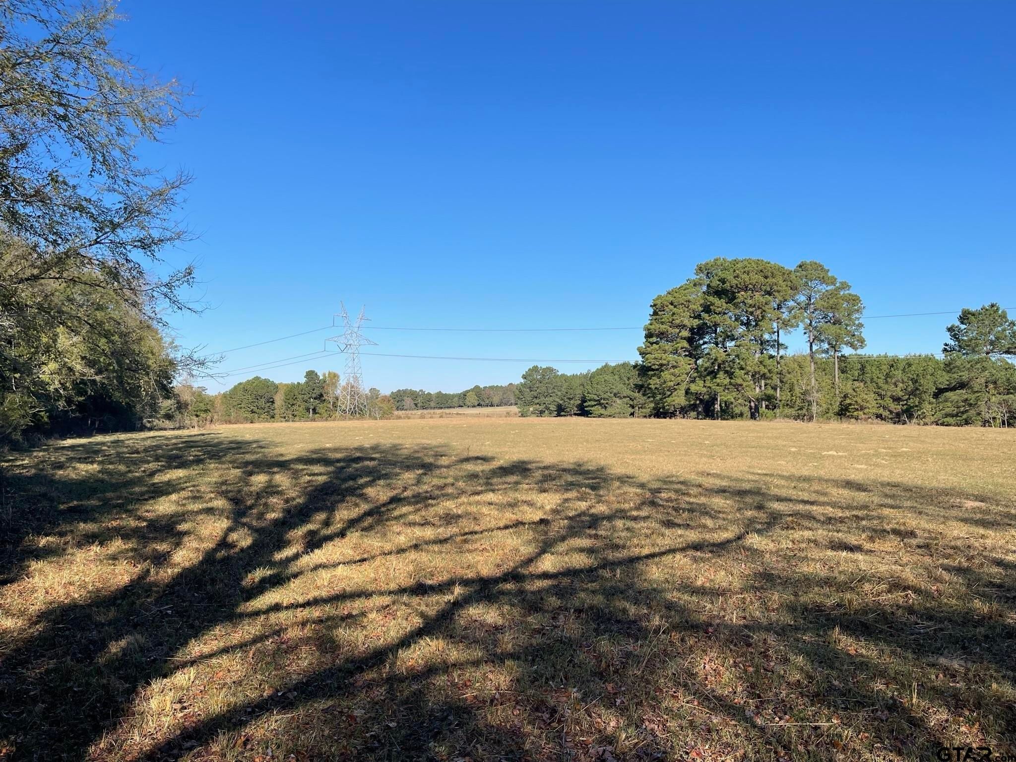 000 County Road 398