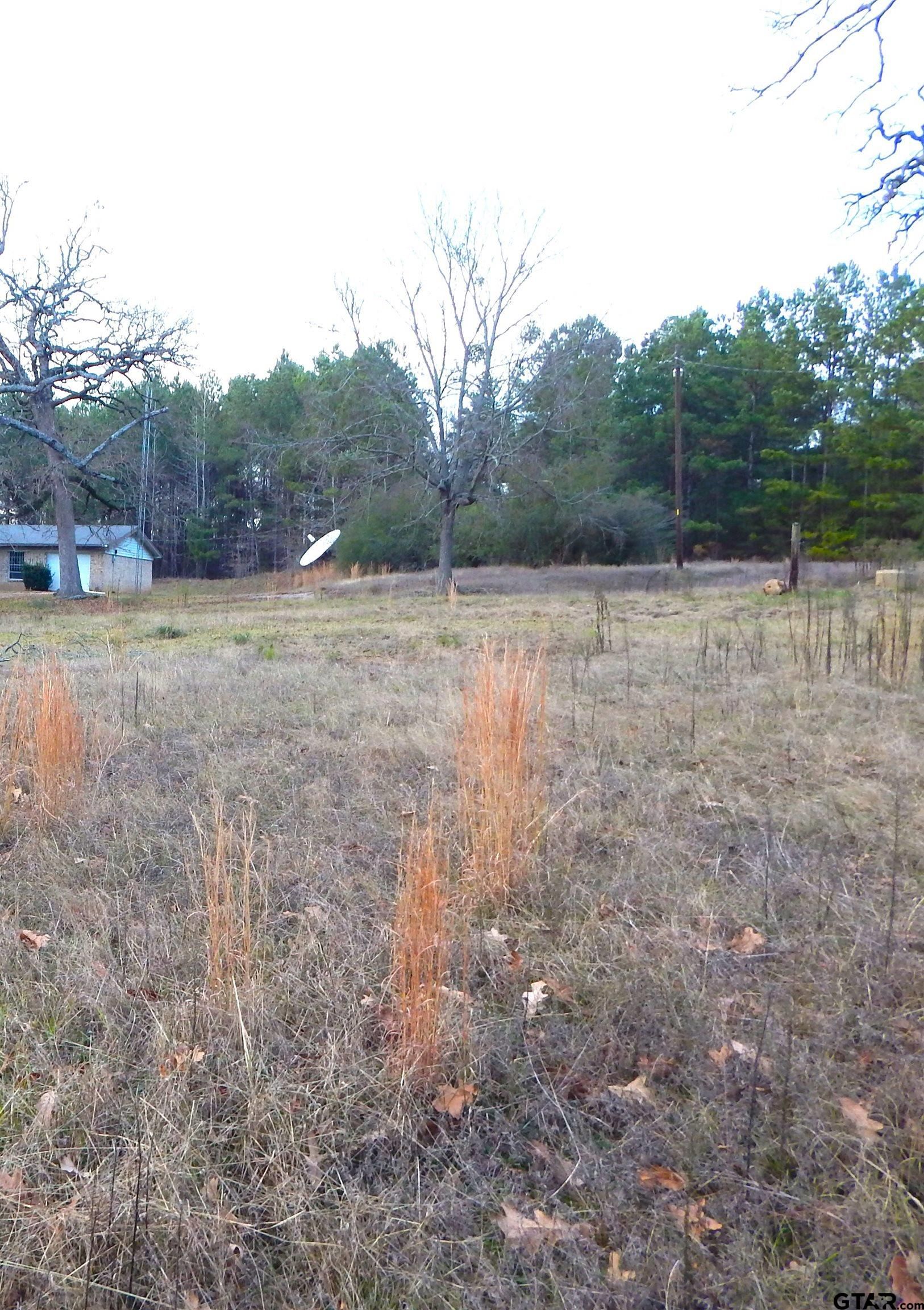 17505 State Hwy 271
