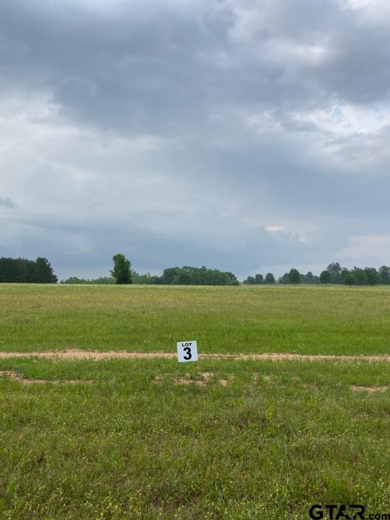 12625 FM 16