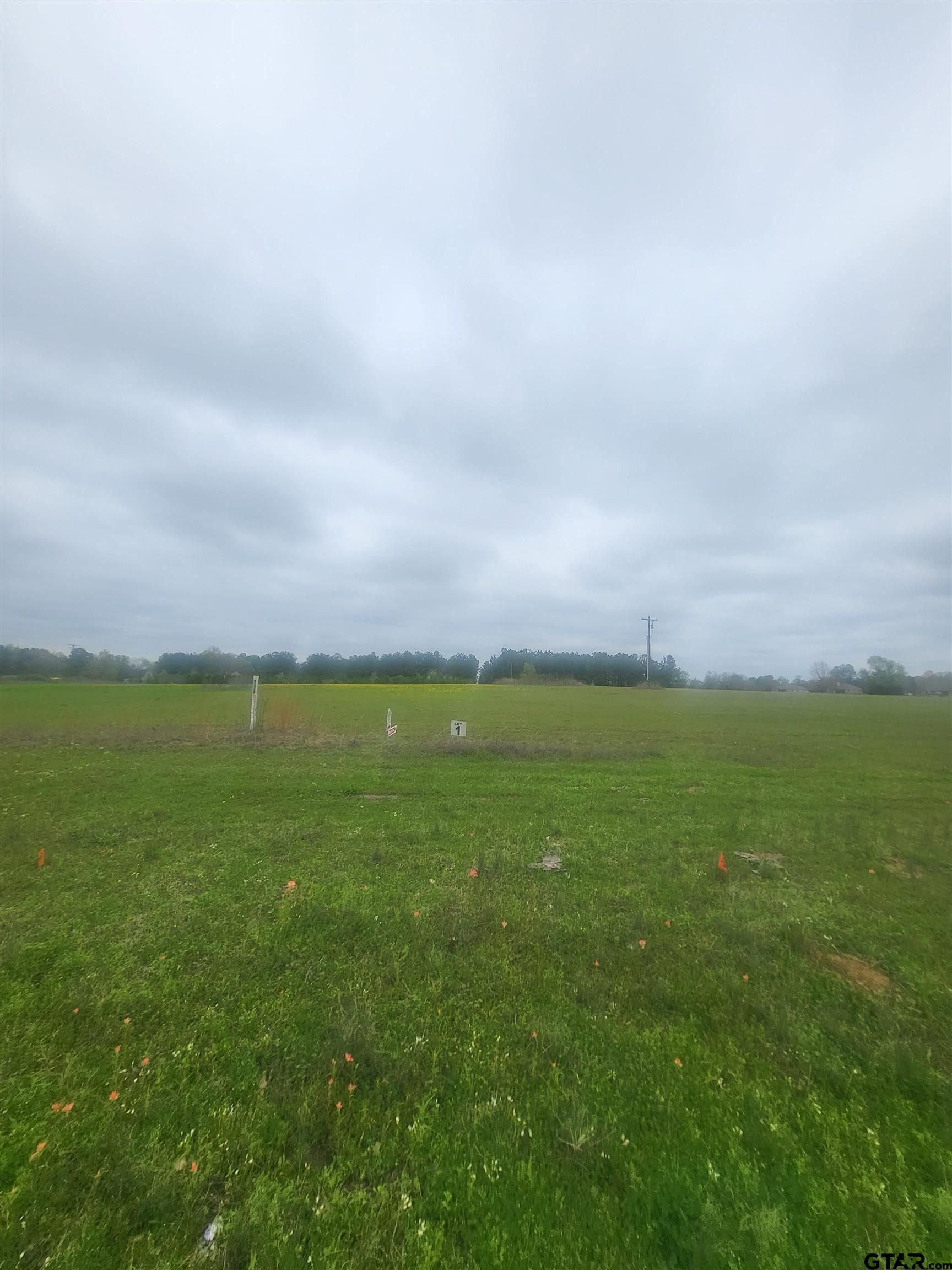 12581 FM 16