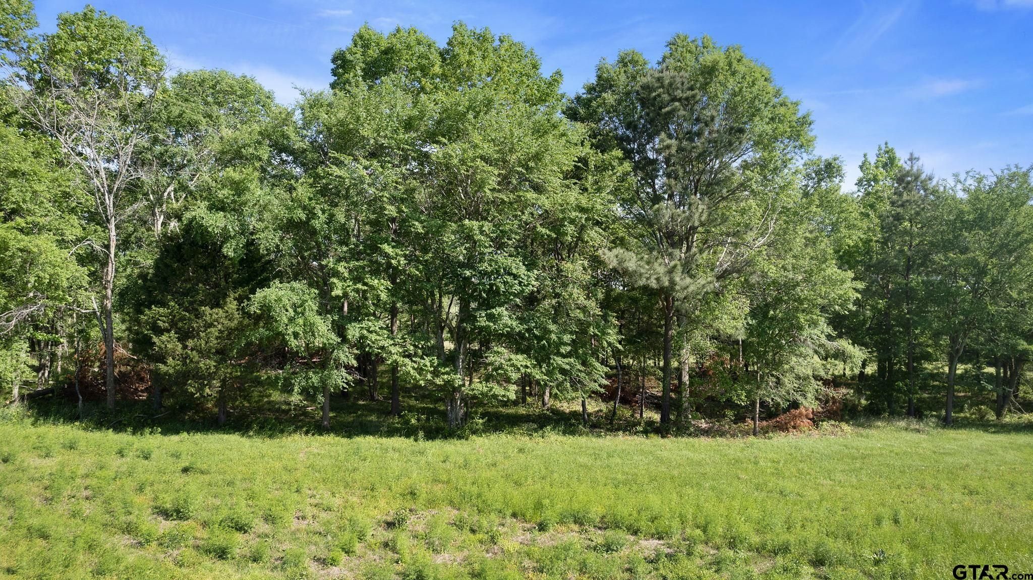 TBD Hwy 64 (23.947 Acres)