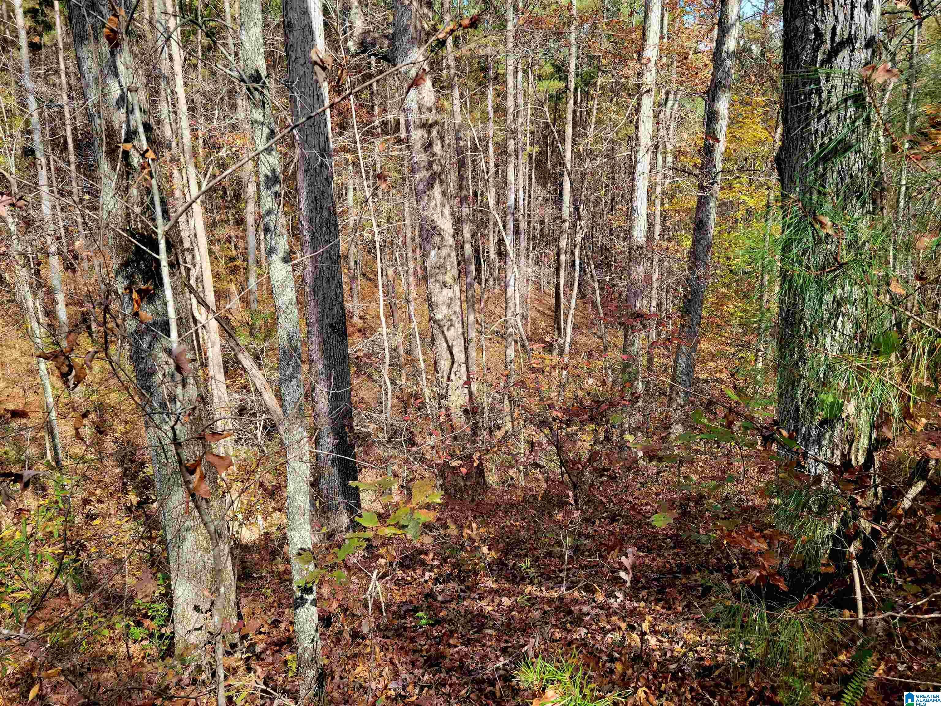 COUNTY ROAD 264