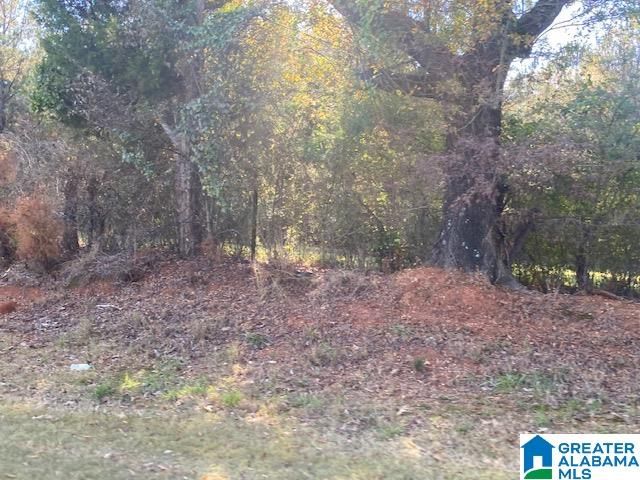 MONTEVALLO ROAD