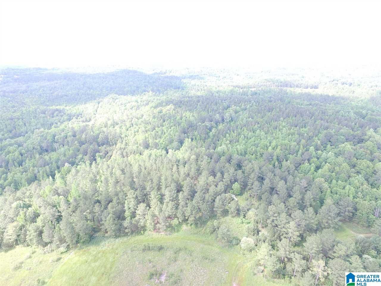 SANIE ROAD