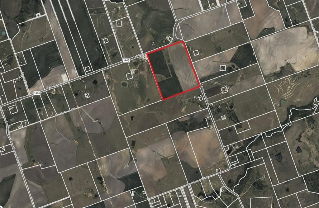 Fm 1466 / Cr 464