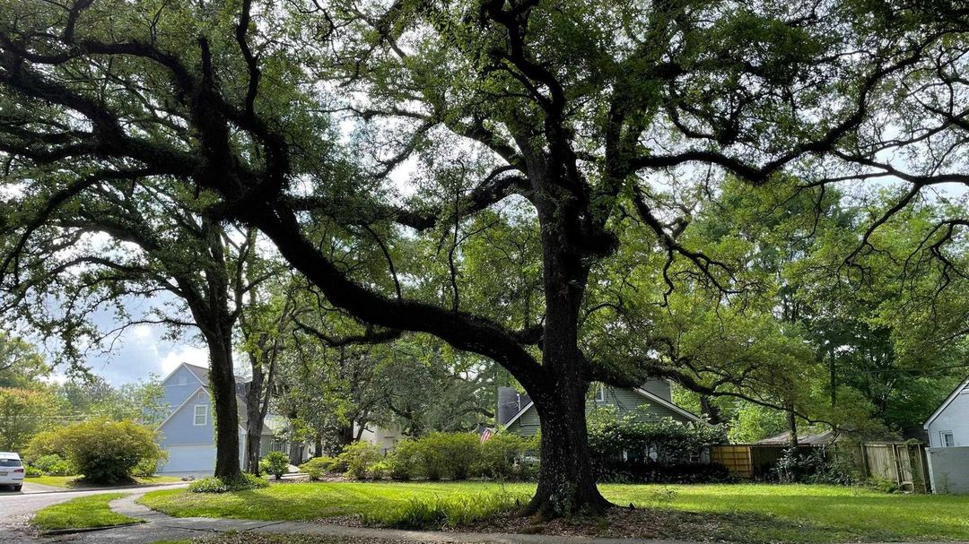 122 Lsu Ave, Baton Rouge, LA, 70808 eXp Realty®