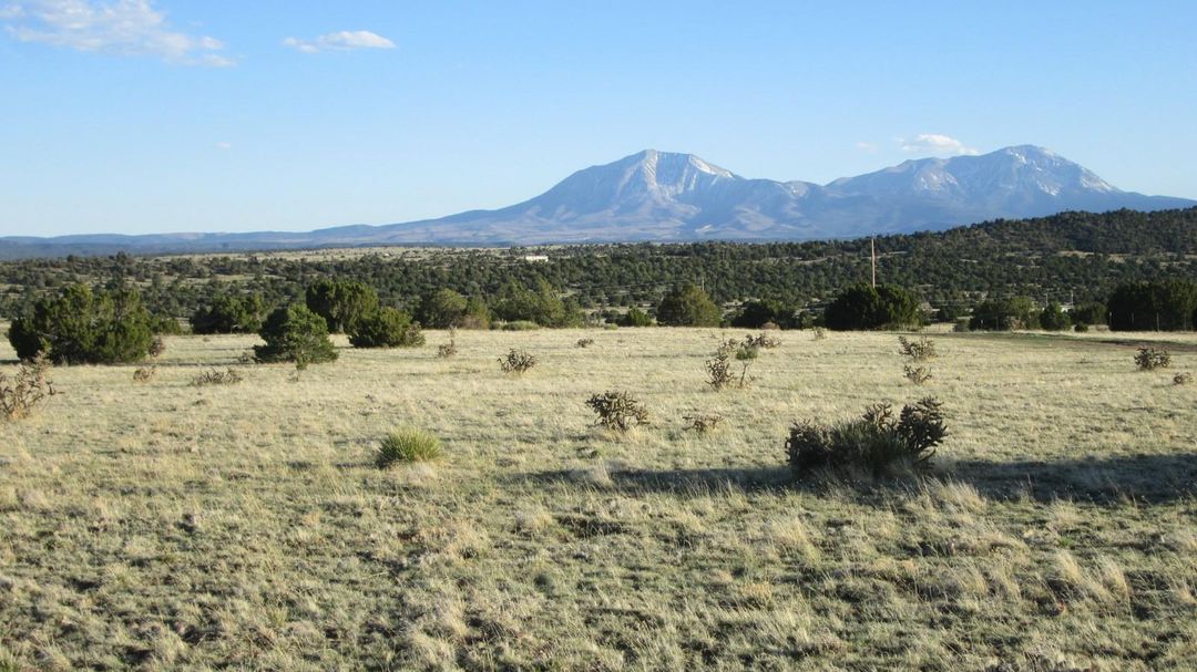 135 Twin Lakes Ranches, Walsenburg, CO, 81089 eXp Realty®