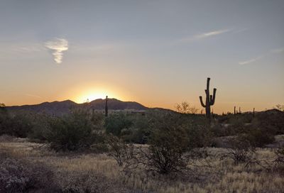 9750 S San Marcos Drive Goodyear AZ 85338