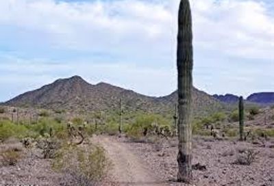 N Bell Road Queen Creek AZ 85142