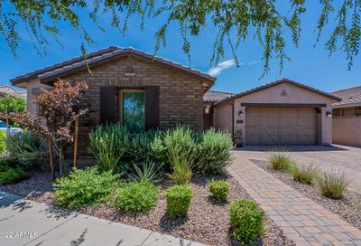 5037 S Cambium Lane Mesa AZ 85212