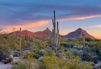 28254 N 95th Street Scottsdale AZ 85262