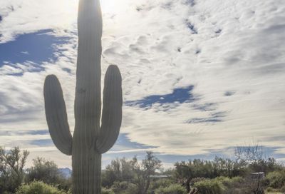 30120 N 163rd Place Scottsdale AZ 85262