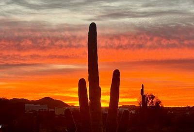 00000 N 113th Avenue Peoria AZ 85383