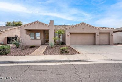 441 W Locust Drive Chandler AZ 85248