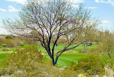 41253 N Whistling Strait Court Anthem AZ 85086