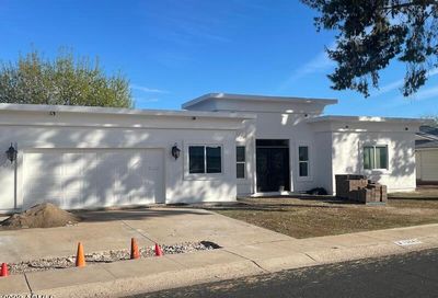 13643 N Buccaneer Way Sun City AZ 85351