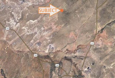 60 County Rd N7291 -- St Johns AZ 85936