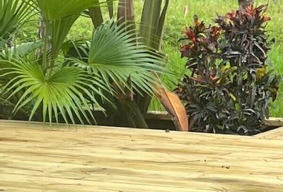 14301 Okeechobee Boulevard Loxahatchee Groves FL 33470