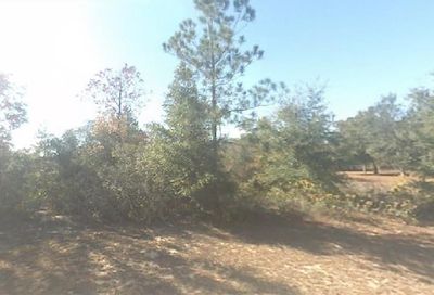 Country Club Boulevard Chipley FL 32428
