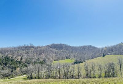 242 Whyte Tenpenny Rd Woodbury TN 37190