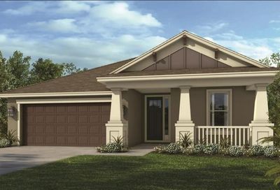 2629 Leafwing Court Palm Harbor FL 34683