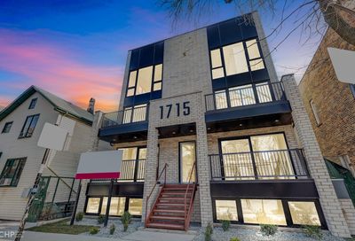 1715 S Morgan Street Chicago IL 60608