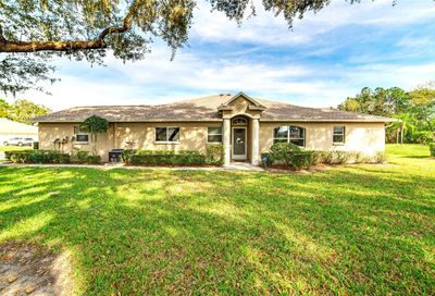 11630 Holly Ann Drive New Port Richey FL 34654