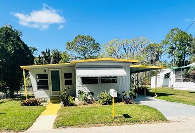 6629 Statice Lane New Port Richey FL 34652