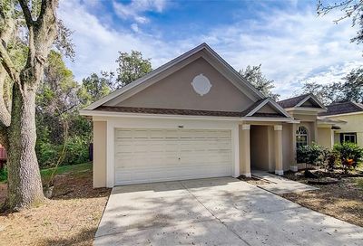 7415 Savannah Lane Tampa FL 33637