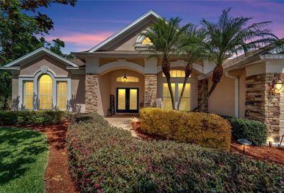2512 Centennial Falcon Drive Valrico FL 33596