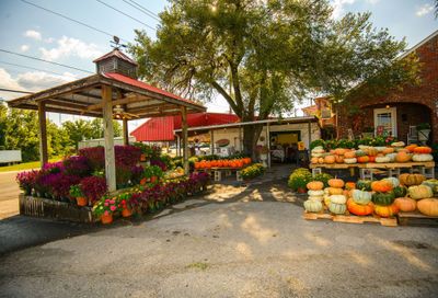 316 W. Broad Street Smithville TN 37166