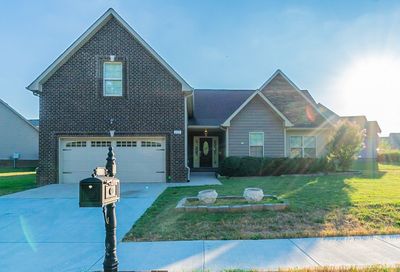 205 E Winterberry Trl White House TN 37188