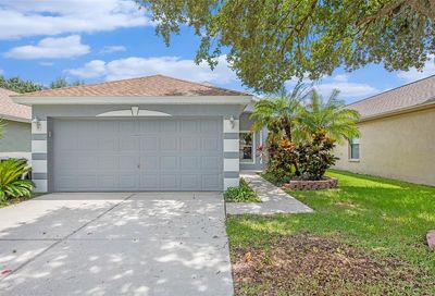 5618 Tanagerlake Road Lithia FL 33547