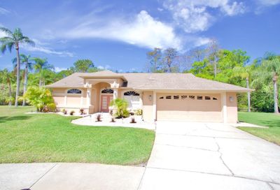 7315 Evesborough Lane New Port Richey FL 34655