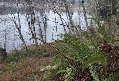 102 E Beaver Lane Shelton WA 98584
