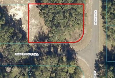 Lot 10 Magnolia Drive Ocklawaha FL 32179