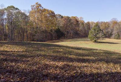 Murphy Hollow Rd Vanleer TN 37181