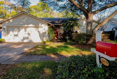 1979 Sapphire Lane Clearwater FL 33760