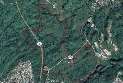 137 Pr Morovis PR 00687