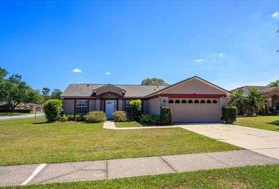1313 Paperwoods Drive Saint Cloud FL 34772